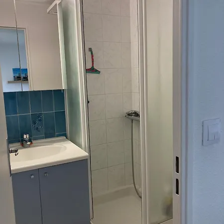 La Palmeraie De Vaux-pontaillac *